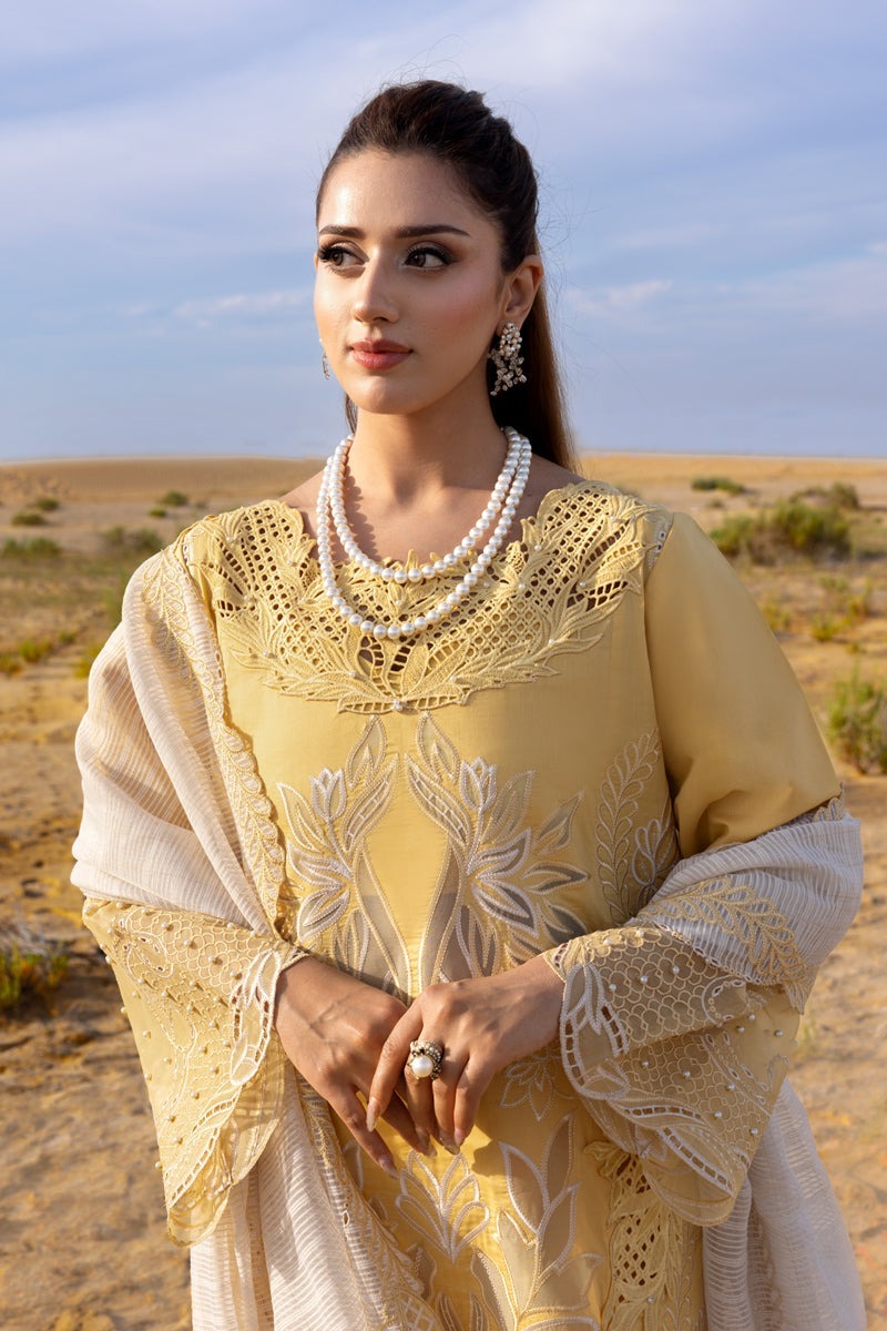 RANG RASIYA - 3 PIECE LAWN EMBROIDERED SHIRT WITH NET EMBROIDERED DUPATTA BW2031 - Brands Wear