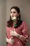 2PC EMBROIDERED DHANAK SUIT BW2091